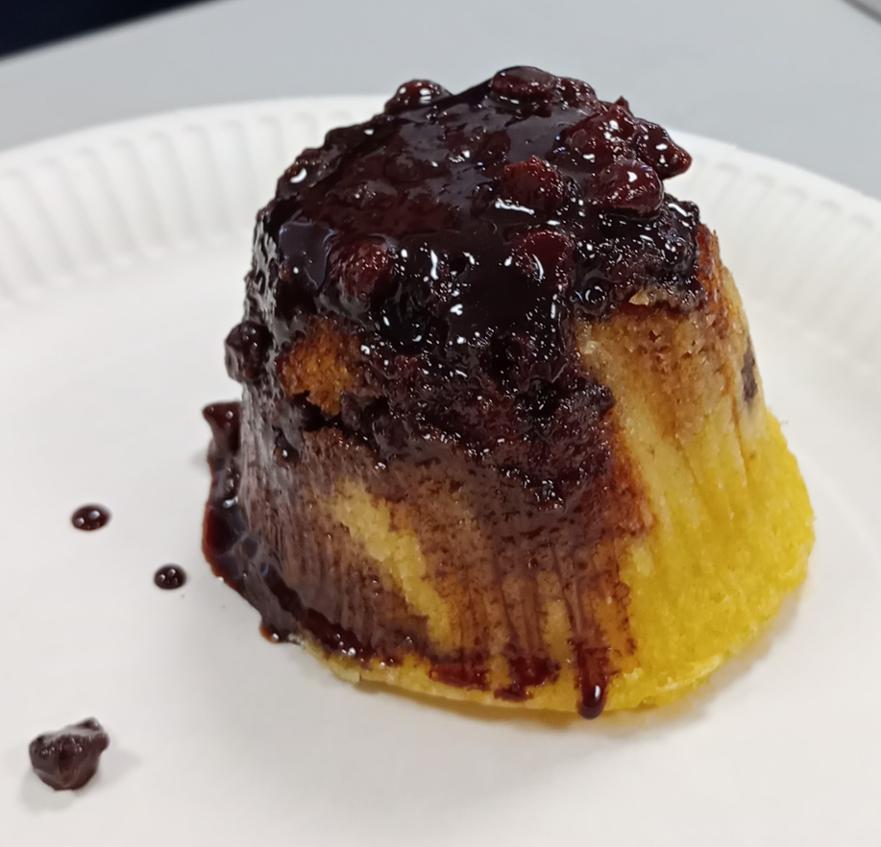 sponge pud 3